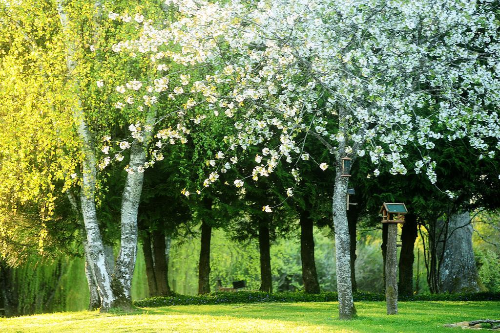 Kimaro Farmhouse Colmery Экстерьер фото